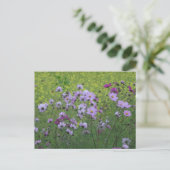 Cosmea Wild Flowers & Rapeseed Field DIY Briefkaar Briefkaart (Staand voorkant)