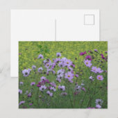 Cosmea Wild Flowers & Rapeseed Field DIY Briefkaar Briefkaart (Voorkant / Achterkant)