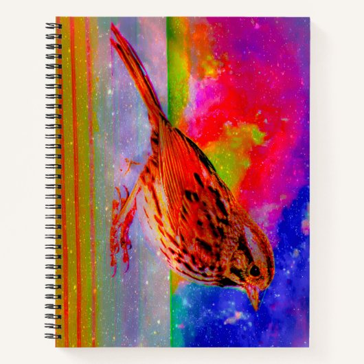 Cosmic Bird Dreamscape Art Print" Notitieboek (Voorkant)