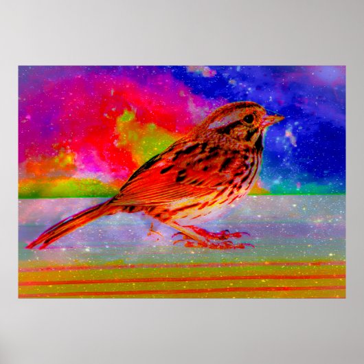 Cosmic Bird Dreamscape Art Print" Poster (Voorkant)