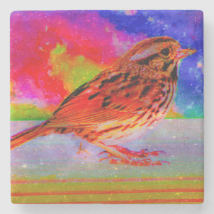 Cosmic Bird Dreamscape Art Print" Stenen Onderzetter