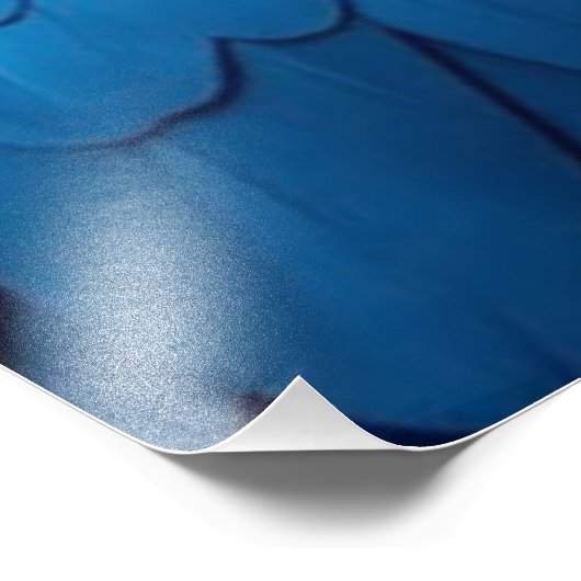 Cosmic Blue Raven Foto Afdruk (Hoek)