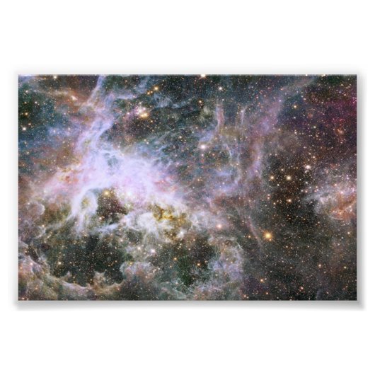 Cosmic Creepy-crawly Tarantula Nebula Foto Afdruk (Voorkant)