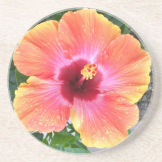 Cosmic Dancer Hibiscus Zandsteen Onderzetter