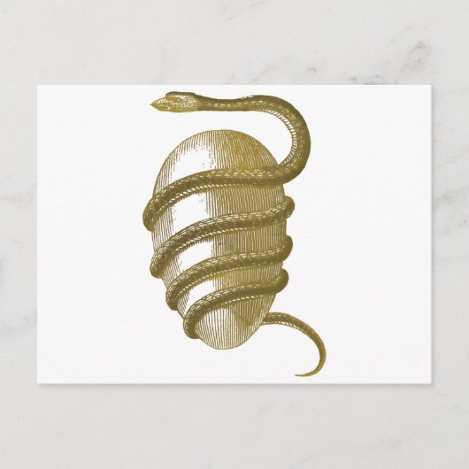 Cosmic egg briefkaart (Voorkant)