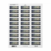 COSMIC LION KING | Etiketten voor aangepaste retou (Full Sheet)