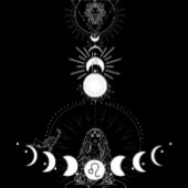 Cosmic Lioness T-Shirt