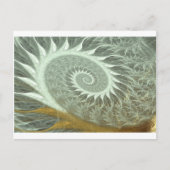 Cosmic Spiral - Sacred Geometry Golden Spiral Briefkaart (Voorkant)