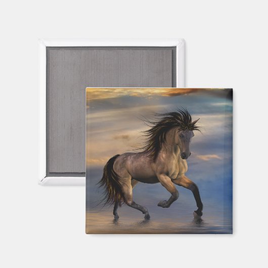 Cosmic ... wilde hengst magneet (Voorkant / Achterkant)