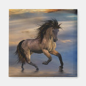 Cosmic ... wilde hengst magneet (Voorkant)