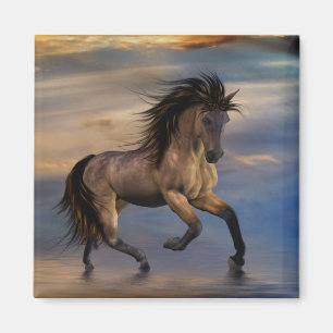 Cosmic ... wilde hengst magneet