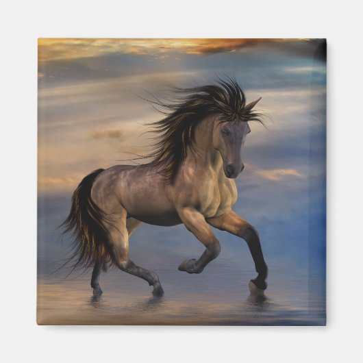 Cosmic ... wilde hengst magneet (Voorkant)