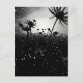 Cosmische bloei zwart-wit sterrenbloem briefkaart (Voorkant)