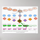 Cosmische evolutie in de antroposofie poster (Voorkant)