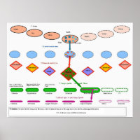 Cosmische evolutie in de antroposofie