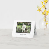 Cosmo #29 Blank-briefkaart Kaart (Gele Bloem)