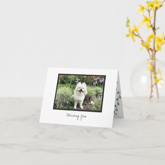 Cosmo #29 Blank-briefkaart Kaart (Gele Bloem)