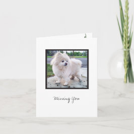 Cosmo #3 blanco briefkaart