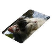 Cosmo 4 X 6 Aangepaste fotomagneet Magneet (Linkerzijde)