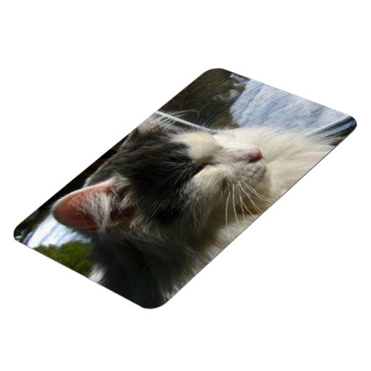 Cosmo 4 X 6 Aangepaste fotomagneet Magneet (Linkerzijde)