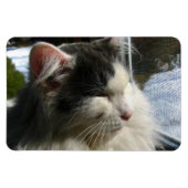 Cosmo 4 X 6 Aangepaste fotomagneet Magneet (Horizontaal)