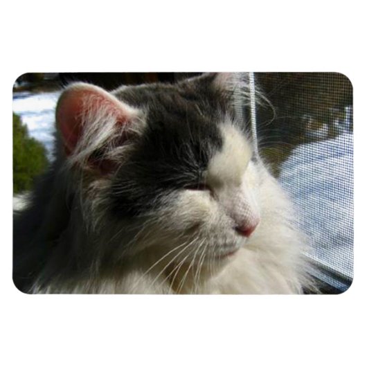 Cosmo 4 X 6 Aangepaste fotomagneet Magneet (Horizontaal)