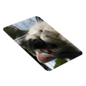 Cosmo 4 X 6 Aangepaste fotomagneet Magneet (Rechterzijde)