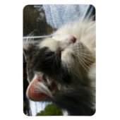 Cosmo 4 X 6 Aangepaste fotomagneet Magneet (Verticaal)