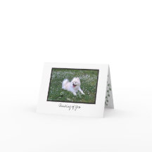 Cosmo #7 Blanco briefkaart