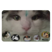 Cosmo Collage fotomagneet Magneet (Horizontaal)