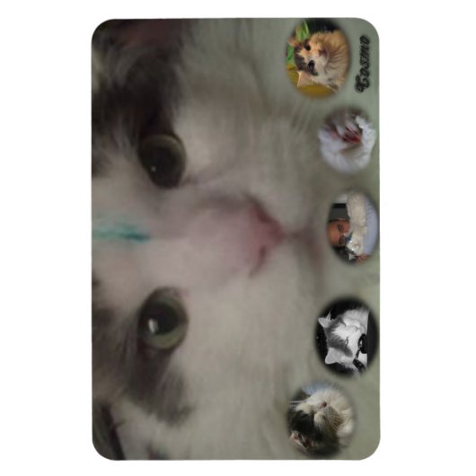 Cosmo Collage fotomagneet Magneet (Verticaal)