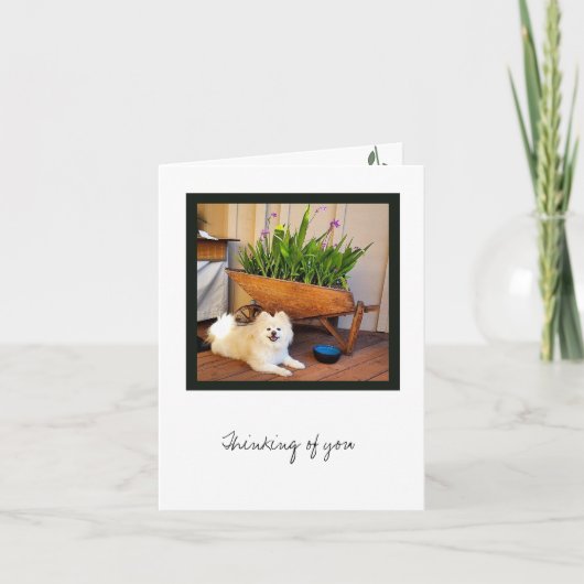 Cosmo Collectie Blank Note Kaart (Voorkant)