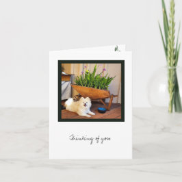 Cosmo Collectie Blank Note Kaart