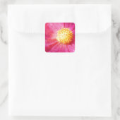 Cosmo Flower Vierkante Sticker (Tas)