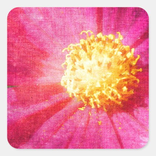 Cosmo Flower Vierkante Sticker (Voorkant)