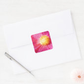 Cosmo Flower Vierkante Sticker (Envelop)