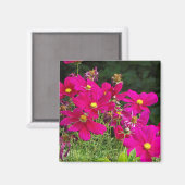 Cosmo Flowers magnet (Voorkant / Achterkant)