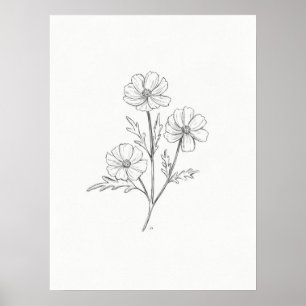 Cosmo Potcil Tekening Kunst Afdrukken Poster