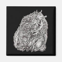 Cosmografisch hoofd van Brian Benson, Magnet