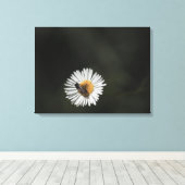 Cosmopolitan Bee Canvas Afdruk (Insitu (Houten vloer))