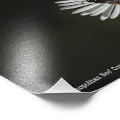 Cosmopolitan Bee Foto Afdruk (Hoek)