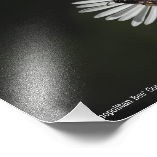 Cosmopolitan Bee Foto Afdruk (Hoek)