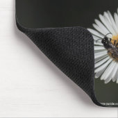 Cosmopolitan Bee Muismat (Hoek)