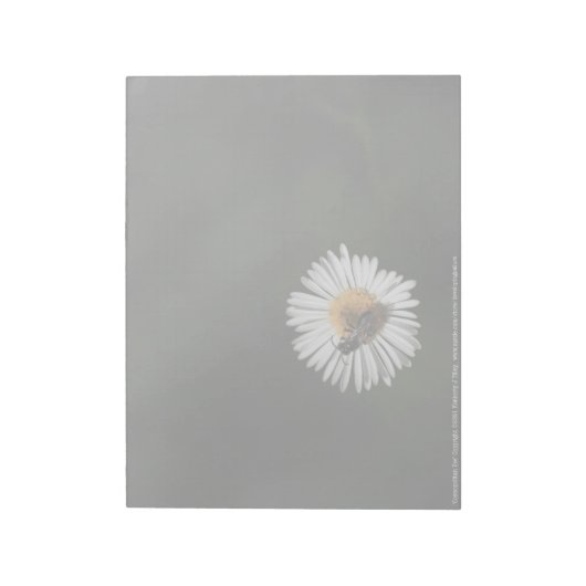 Cosmopolitan Bee Notitieblok (Linkerzijde)