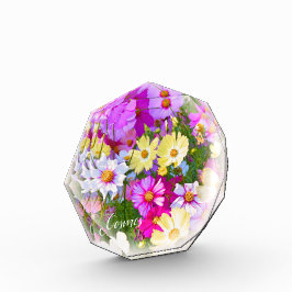 Cosmos フォトブロック fotoblokken