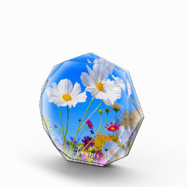 Cosmos フォトブロック fotoblokken