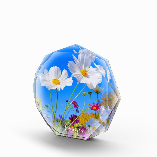 Cosmos フォトブロック fotoblokken (Rechts)