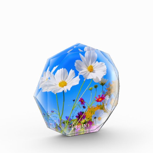 Cosmos フォトブロック fotoblokken (Links)