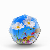 Cosmos フォトブロック fotoblokken (Voorkant)