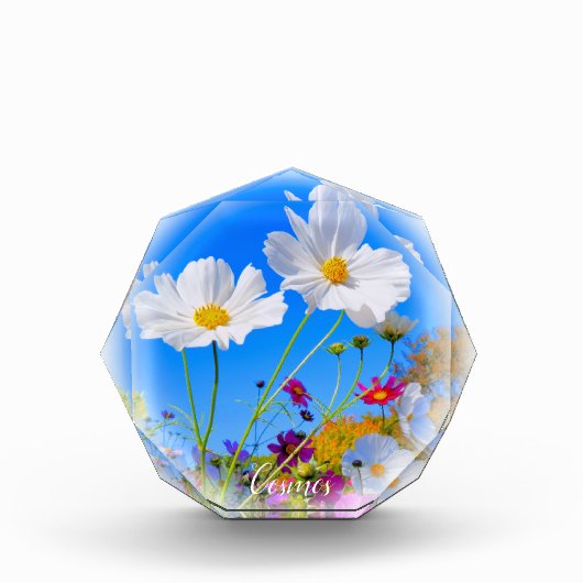 Cosmos フォトブロック fotoblokken (Voorkant)